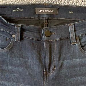 Liverpool Bootcut Jeans NWOT